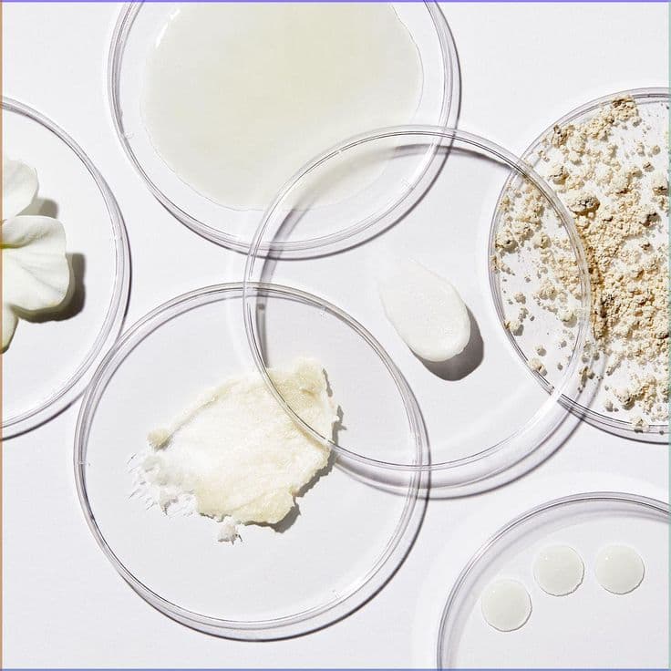 Skin barrier ceramide brick-and-mortar diagram